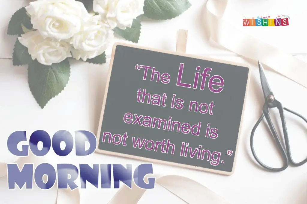 happy life good morning quotes